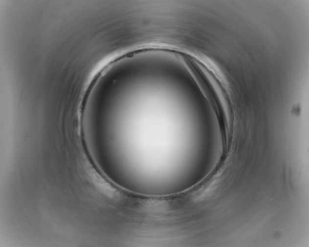 X0000092021238200709061546