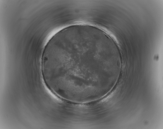 X0000092021239200709061546