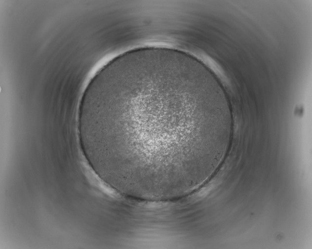 X0000092021240200709061546