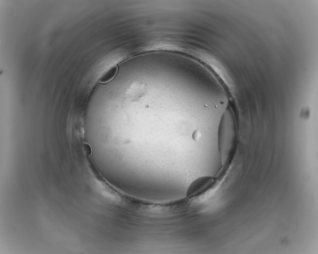 X0000092021241200709061546