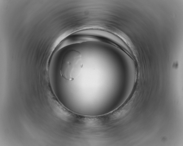 X0000092021242200709061546