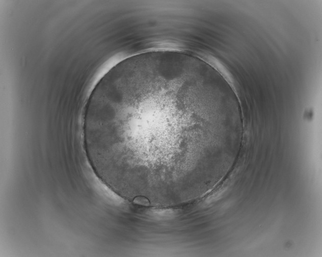 X0000092021243200709061546