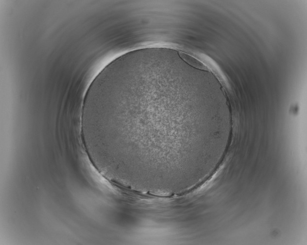 X0000092021244200709061546