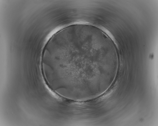 X0000092021245200709061546