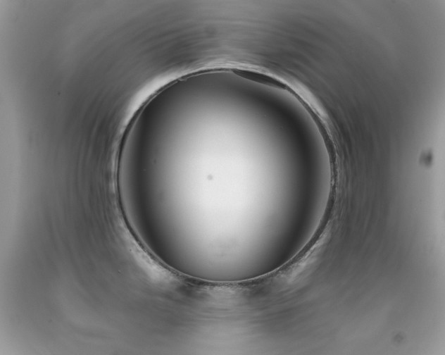 X0000092021246200709061546