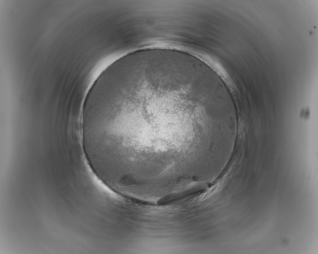 X0000092021247200709061546