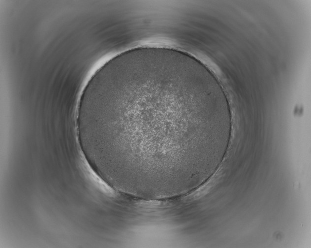 X0000092021248200709061546