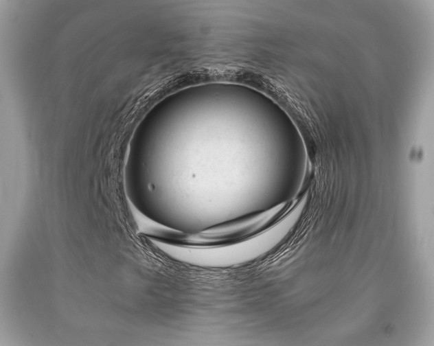 X0000092021249200709061546