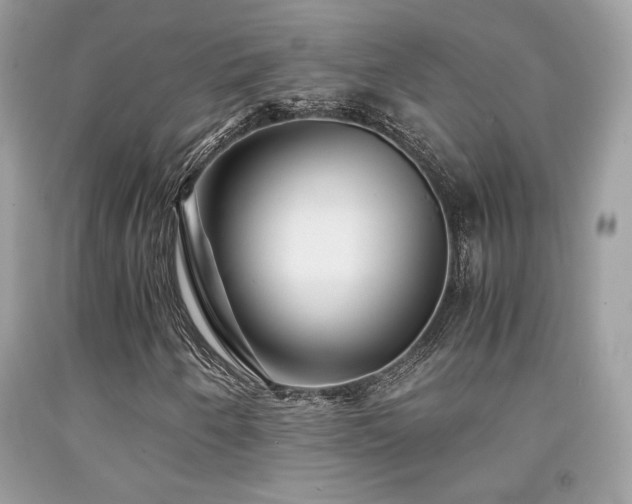 X0000092021250200709061546