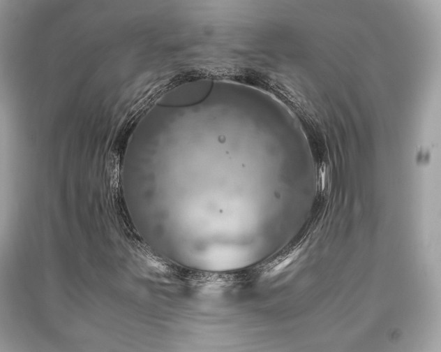 X0000092021251200709061546