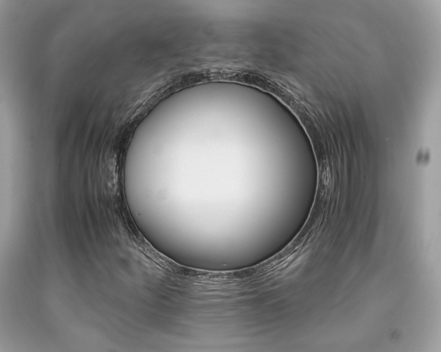 X0000092021252200709061546