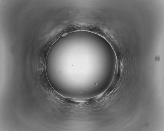 X0000092021253200709061546
