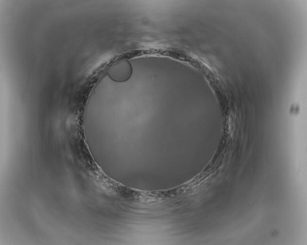 X0000092021254200709061546