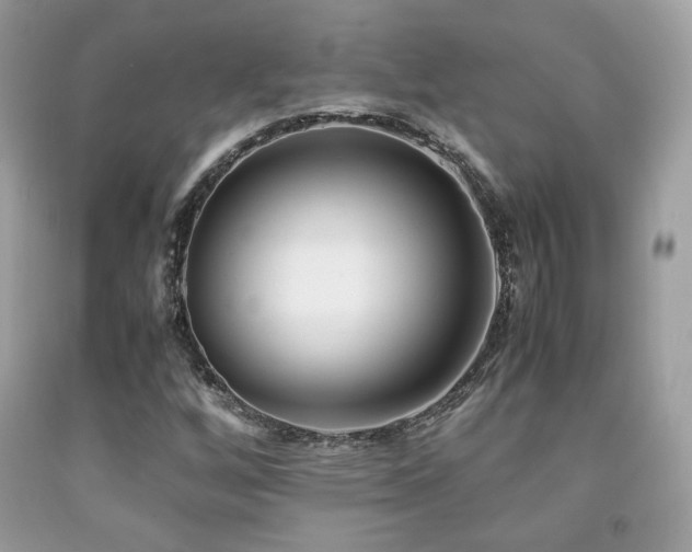 X0000092021256200709061546
