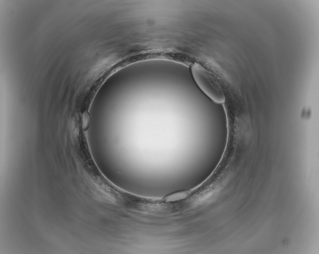 X0000092021257200709061546