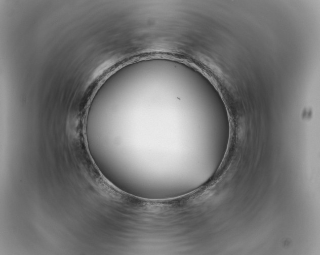 X0000092021258200709061546