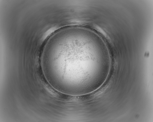 X0000092021259200709061546