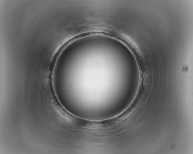 X0000092021260200709061546