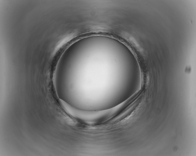 X0000092021261200709061546