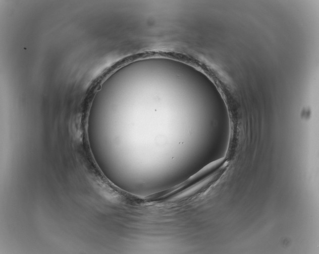 X0000092021262200709061546