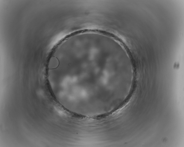 X0000092021263200709061546