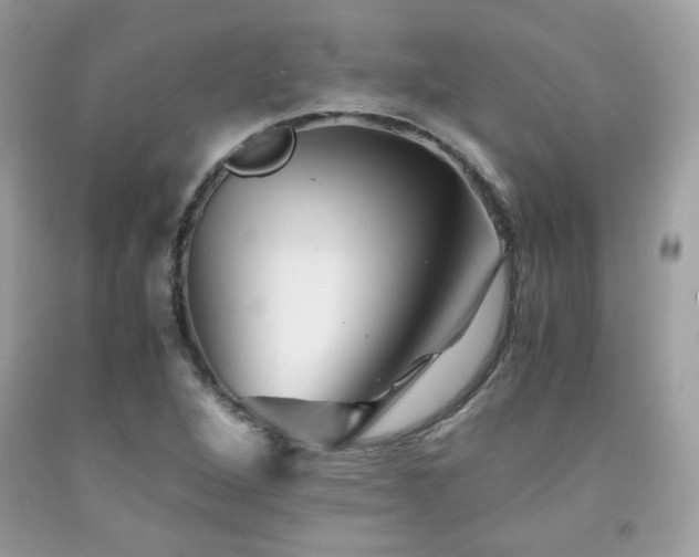 X0000092021264200709061546