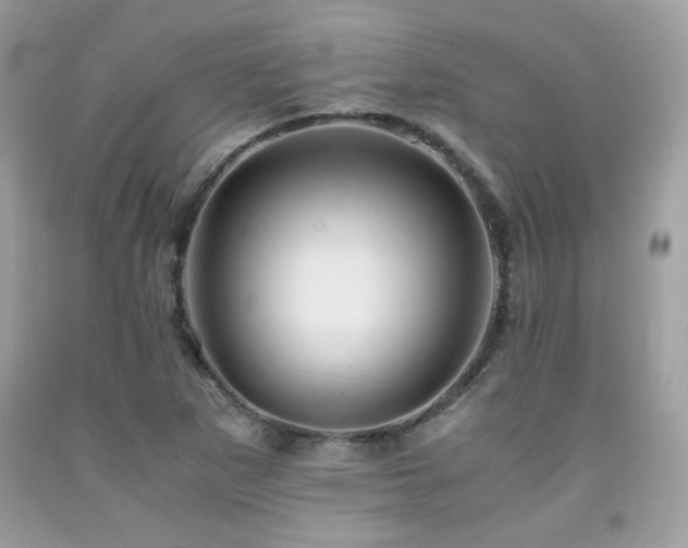 X0000092021265200709061546