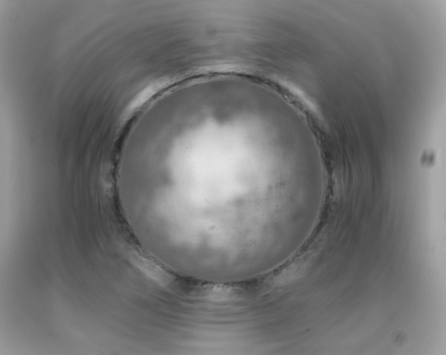X0000092021266200709061546