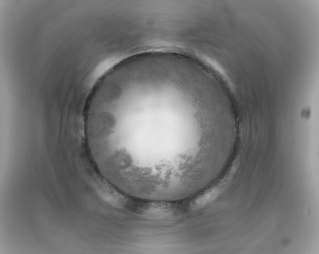 X0000092021267200709061546