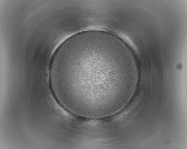 X0000092021268200709061546