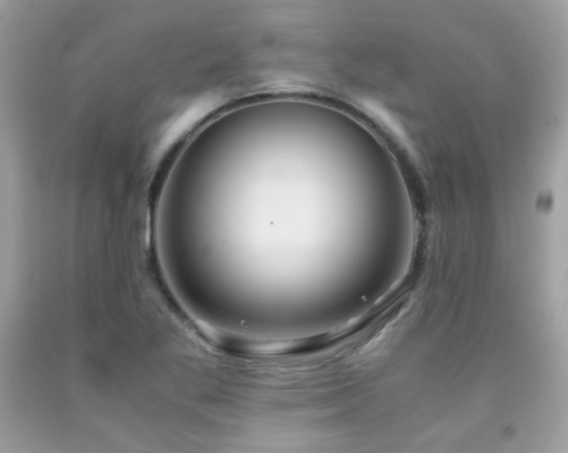 X0000092021269200709061546
