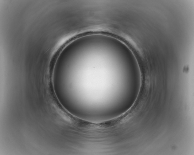 X0000092021270200709061546