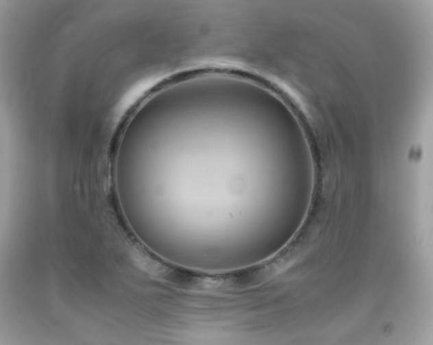 X0000092021271200709061546