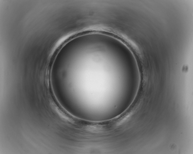 X0000092021272200709061546