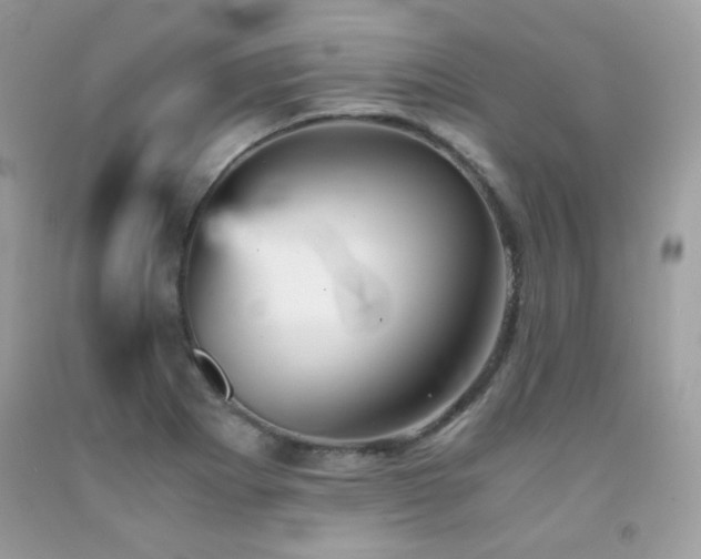 X0000092021273200709061546