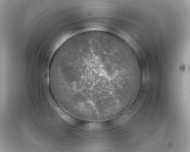 X0000092021274200709061546