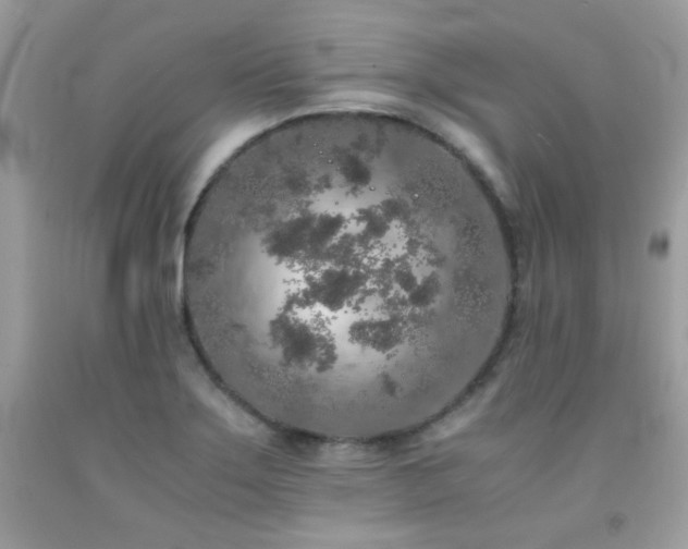 X0000092021275200709061546