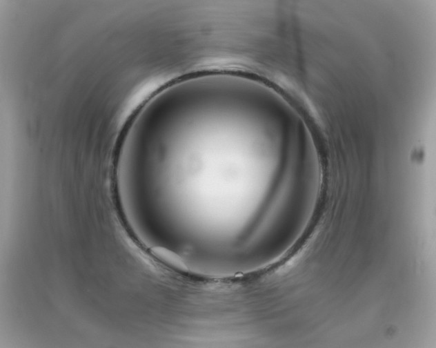 X0000092021277200709061546