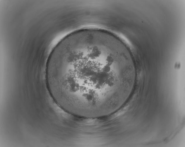 X0000092021279200709061546