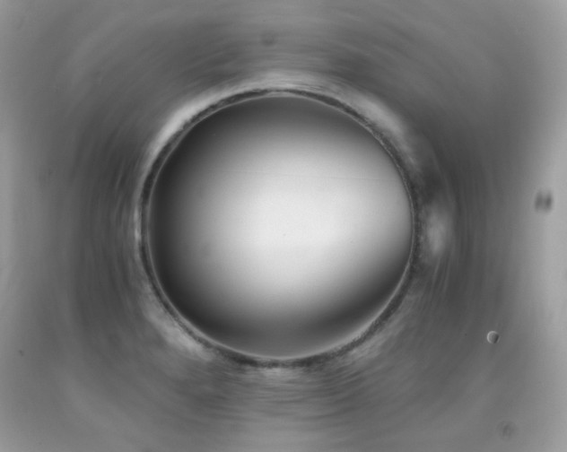 X0000092021280200709061545