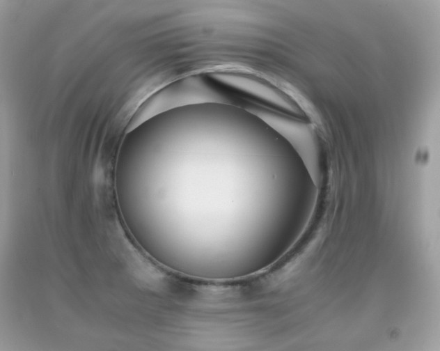 X0000092021281200709061545
