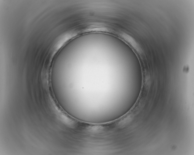 X0000092021282200709061545