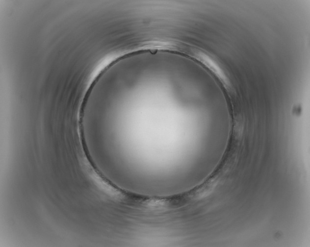 X0000092021283200709061545