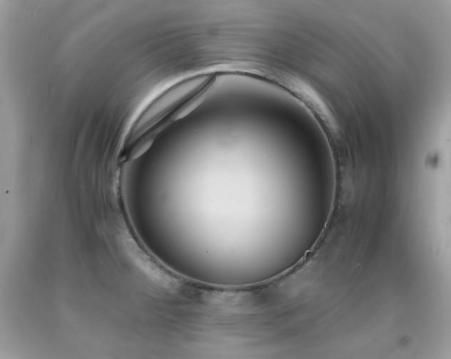 X0000092021284200709061545