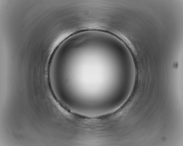 X0000092021285200709061545