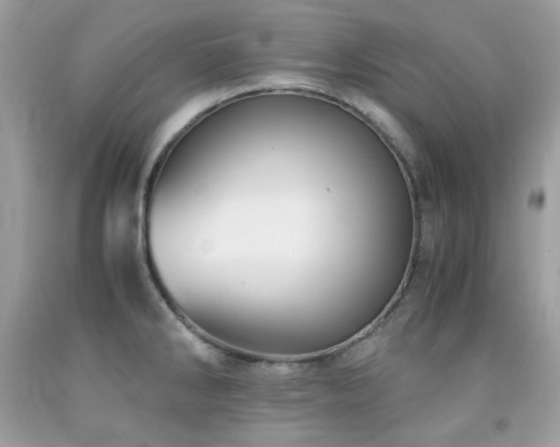 X0000092021286200709061545