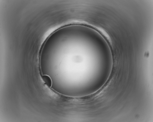X0000092021287200709061545