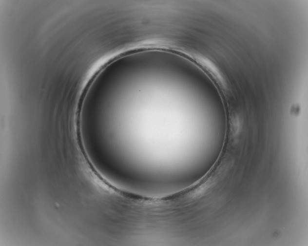 X0000092021288200709061545