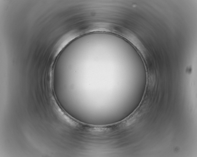 X0000092021290200709061545