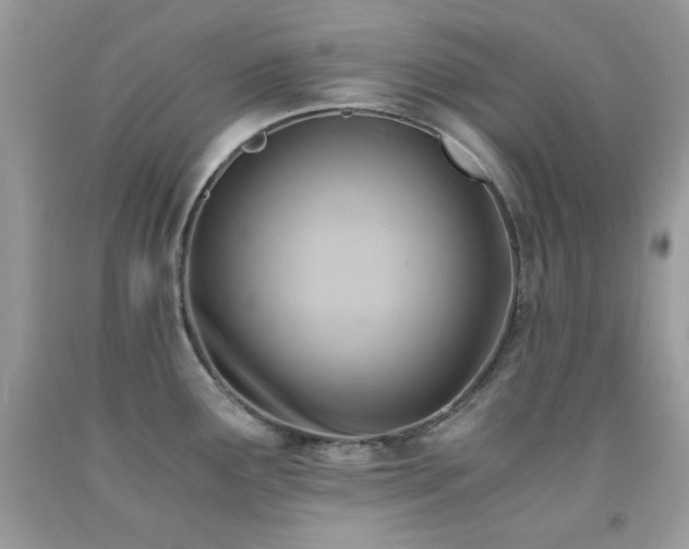 X0000092021291200709061545